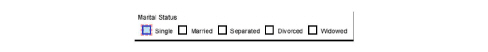 auto-create-checkbox.jpg