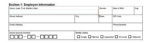 auto-create-field-2.jpg