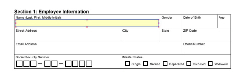 auto-create-field-3.jpg