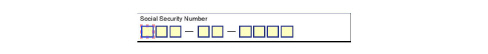 auto-select-ssn-field-1.jpg