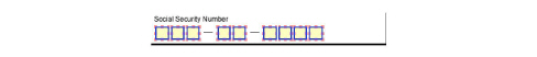 auto-select-ssn-field-2.jpg