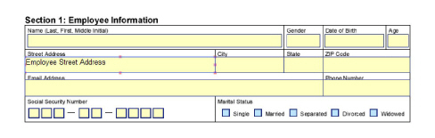 auto-variable-field-employee-street-address-applied.jpg